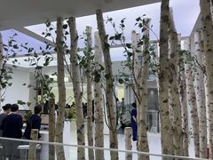 -极简口腔(总院)