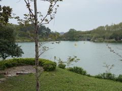 -宜兴龙背山森林公园