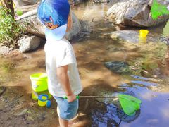 -碓臼峪自然风景区