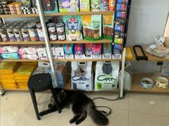 -瑞鹏·疫苗·绝育·宠物医院(金沙洲店)