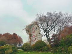 -贡湖湾湿地公园