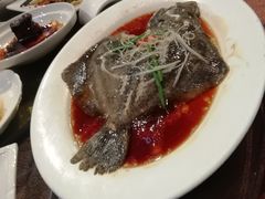 清蒸多宝鱼-东方明珠老上海8号餐厅(东方明珠广播电视塔店)