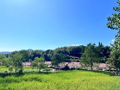 -塔川景区