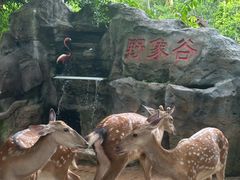 -野象谷景区