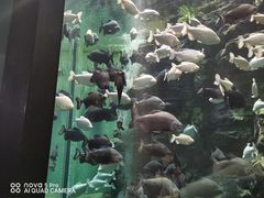 -成都浩海立方海洋公园