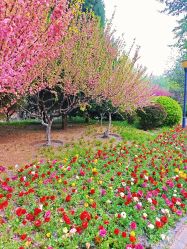 -大望京儿童游乐场