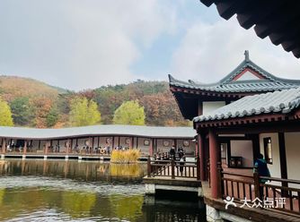 周日本打算睡个懒觉，结果被清晨的骤雨惊醒，朦胧间