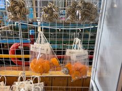-蓝湾碧波·老字号·疍家非遗海上餐厅