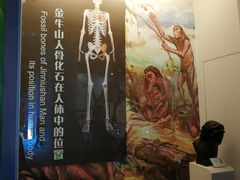 -辽宁古生物博物馆