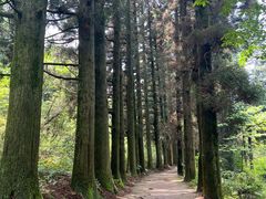 -庐山风景区花径公园