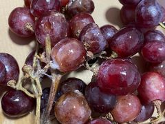 -江苏凌家塘农副产品批发市场果品区