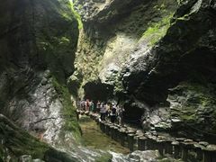 -牛背梁国家森林公园