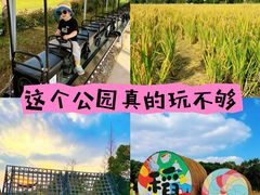 -嘉北郊野公园