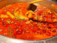 -宽口美蛙鱼头(大唐西市店)