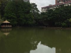 -四海公园(南山区)