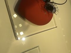 -BLACKSWAN黑天鹅(环球店)