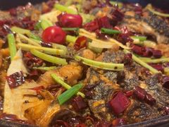 -老板恋上鱼(恒隆广场店)