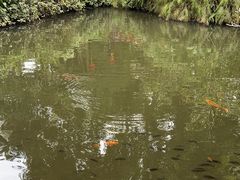 -海南热带野生动植物园