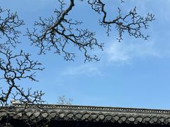 -水绘园