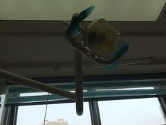 -惠安齿科(保利分院)