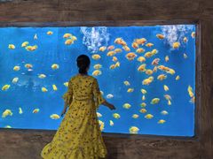 -南京金牛湖风景区