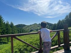 -驼梁风景区