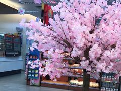 -全家便利店(梅园路店)