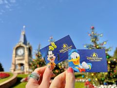 -上海迪士尼度假区