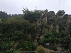 -老幺泉水鸡