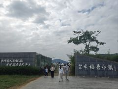 -风云岭森林公园