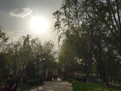 -西安汉城湖景区