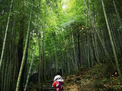 -百杖潭景区