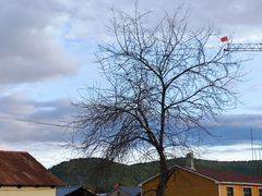 -北极村旅游风景区