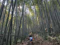 -午潮山国家森林公园