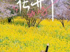 -苏州上方山国家森林公园
