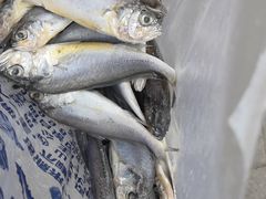 -花果山生鲜超市(浑河湾店)