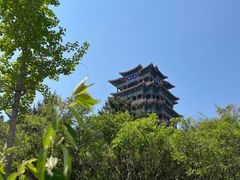 -永定河休闲森林公园