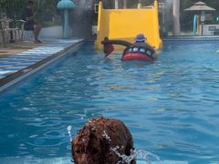 -爪吧宠物乐园 (温榆河示范区店)