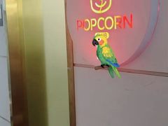 -Popcorn Club爆米花英语社交俱乐部