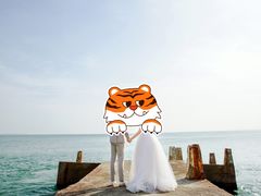 -玫瑰海岸文化旅游度假区
