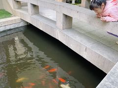 -苏州吴宫泛太平洋酒店