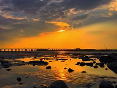 -宝安西湾红树林湿地公园