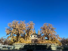 -北京石刻艺术博物馆(五塔寺)