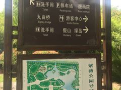 -紫薇公园