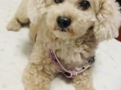 -TOUCH泰奇(南汇南门大街店)