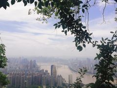 -南山植物园