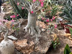 -国家植物园南园