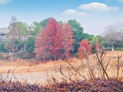 -余姚四明湖开元名都度假酒店·夏威夷西餐厅