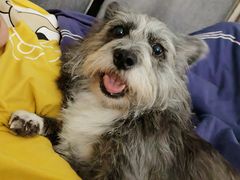 -爱侣宠医·鹦鹉专科·小型哺乳类·异宠专科(灵石路店)