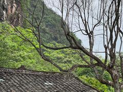 -村上春树